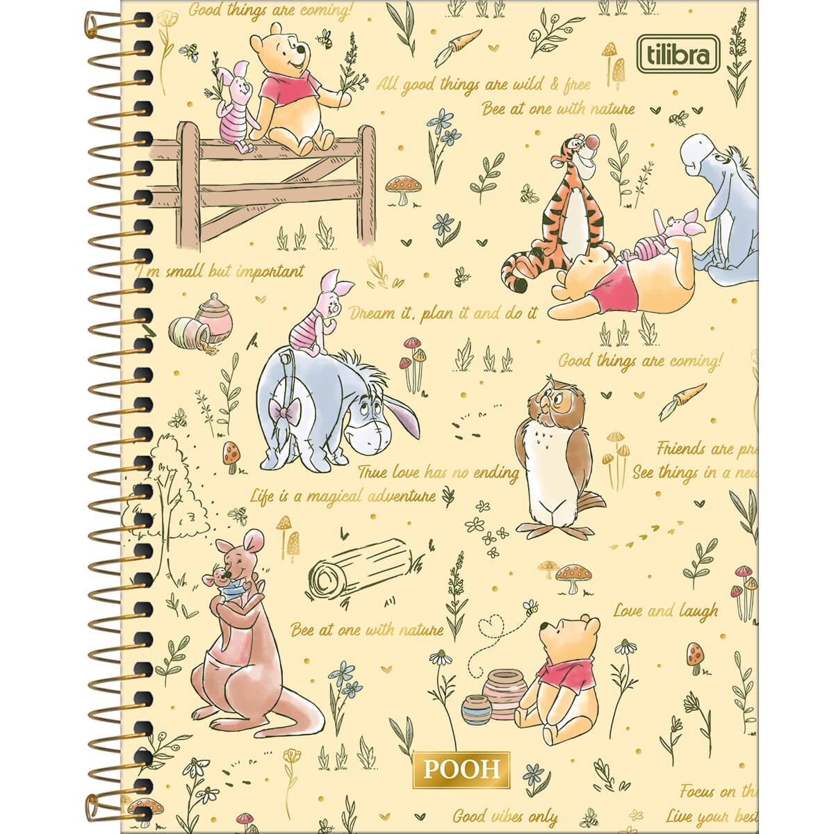 Caderno Espiral Capa Dura Colegial 1 Matéria Pooh 80 Folhas Pooh Cadernos Espiral Colegial 5937