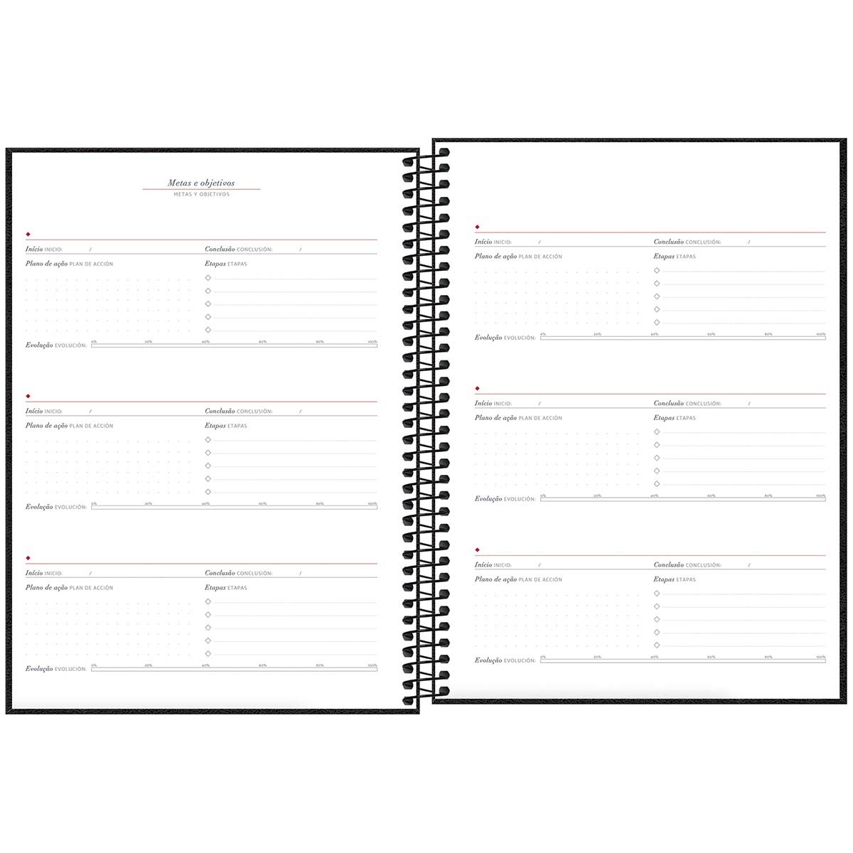 Planner Executivo Espiral 20 x 27,5 cm Cambridge 2025 Cambridge