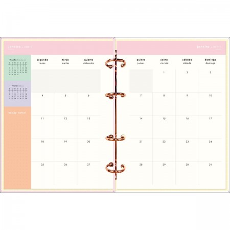 Foto ilustrativa Planner Argolado Capa Dura Happy Rosa 90 Gramas 2021