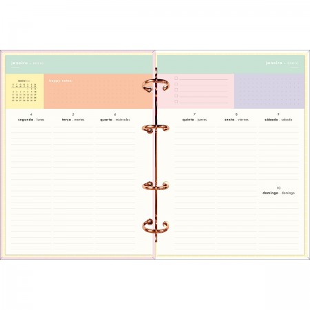 Foto ilustrativa Planner Argolado Capa Dura Happy Rosa 90 Gramas 2021